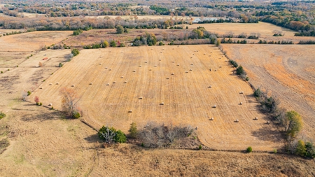113 Acres East Texas East Of Dallas - Wood County Winnsboro - image 23