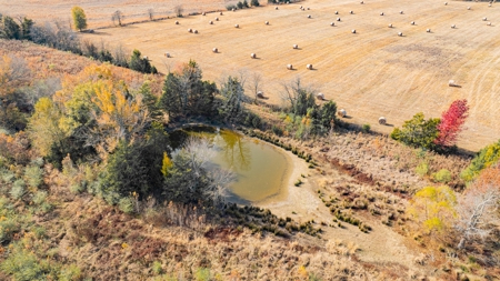 113 Acres East Texas East Of Dallas - Wood County Winnsboro - image 8