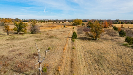 113 Acres East Texas East Of Dallas - Wood County Winnsboro - image 35