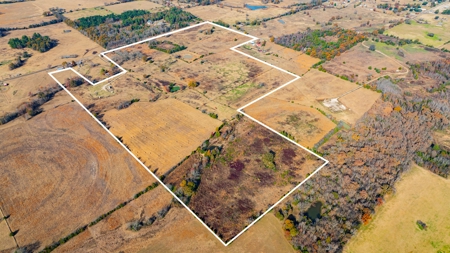 113 Acres East Texas East Of Dallas - Wood County Winnsboro - image 6