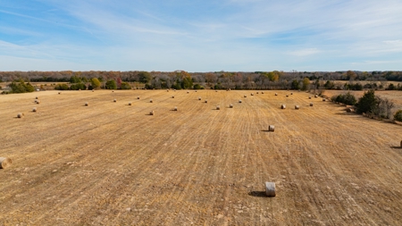 113 Acres East Texas East Of Dallas - Wood County Winnsboro - image 24