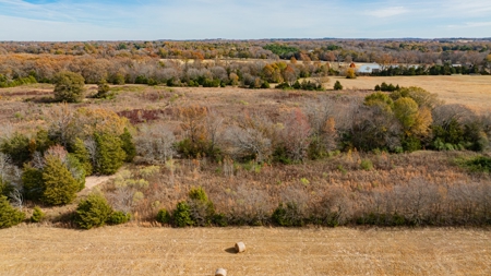 113 Acres East Texas East Of Dallas - Wood County Winnsboro - image 25