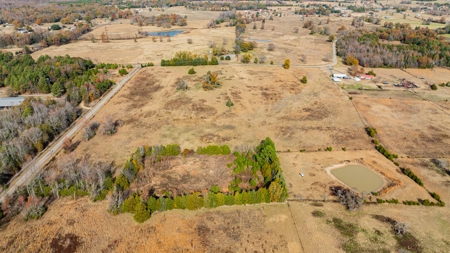 113 Acres East Texas East Of Dallas - Wood County Winnsboro - image 29