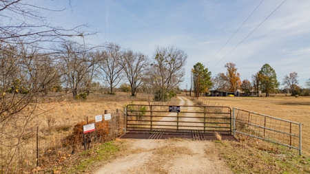 113 Acres East Texas East Of Dallas - Wood County Winnsboro - image 32