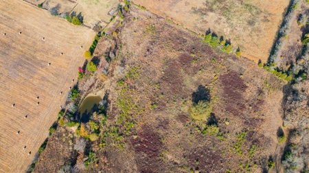 113 Acres East Texas East Of Dallas - Wood County Winnsboro - image 7