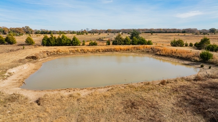 113 Acres East Texas East Of Dallas - Wood County Winnsboro - image 20