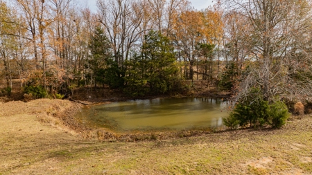 113 Acres East Texas East Of Dallas - Wood County Winnsboro - image 22