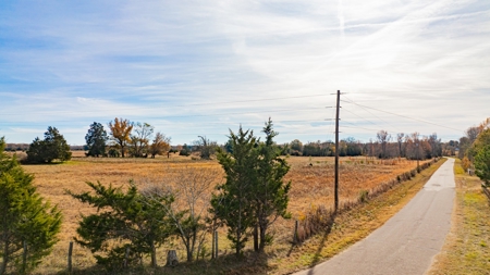113 Acres East Texas East Of Dallas - Wood County Winnsboro - image 16