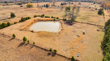 113 Acres East Texas East Of Dallas - Wood County Winnsboro - image 19