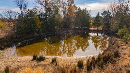 113 Acres East Texas East Of Dallas - Wood County Winnsboro - image 2