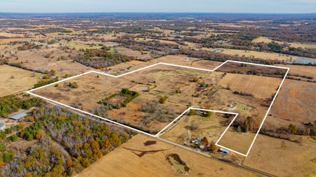 113 Acres East Texas East Of Dallas - Wood County Winnsboro - image 12