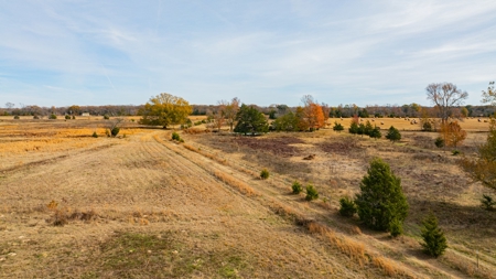 113 Acres East Texas East Of Dallas - Wood County Winnsboro - image 37