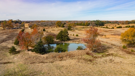 113 Acres East Texas East Of Dallas - Wood County Winnsboro - image 9