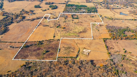 113 Acres East Texas East Of Dallas - Wood County Winnsboro - image 4