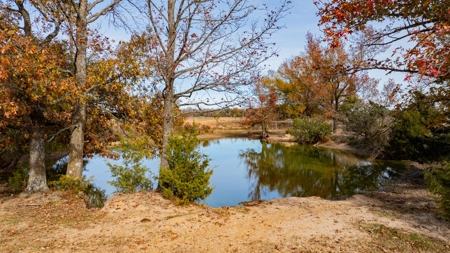 113 Acres East Texas East Of Dallas - Wood County Winnsboro - image 10