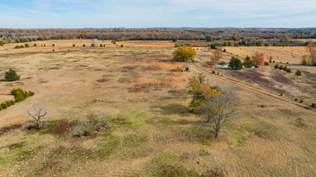 113 Acres East Texas East Of Dallas - Wood County Winnsboro - image 34