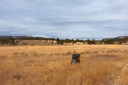 Montana Hunting Retreat - image 31