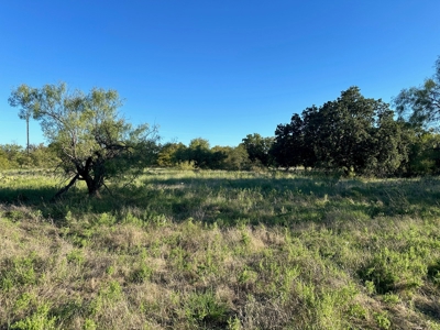 Lot 591 on The Hideout Golf Resort at Lake Brownwood, TX - image 10