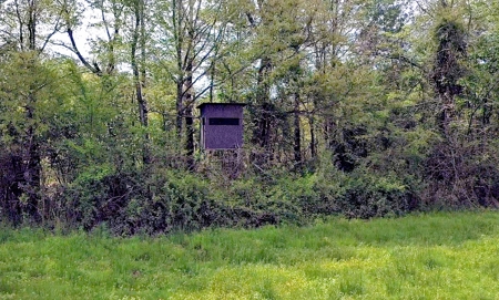 Income-Producing Farm for Sale in Hardeman County, TN - image 15