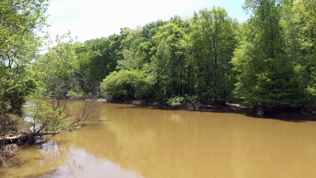Income-Producing Farm for Sale in Hardeman County, TN - image 3