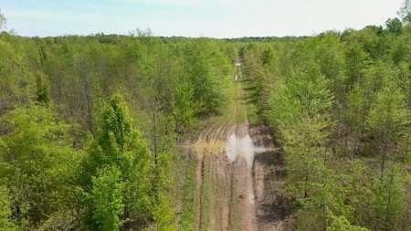 Income-Producing Farm for Sale in Hardeman County, TN - image 13