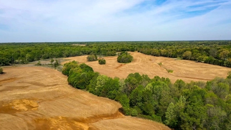 Income-Producing Farm for Sale in Hardeman County, TN - image 29