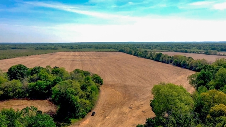 Income-Producing Farm for Sale in Hardeman County, TN - image 24