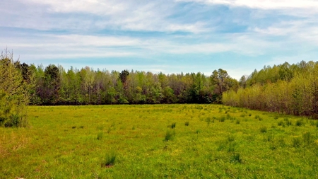 Income-Producing Farm for Sale in Hardeman County, TN - image 17
