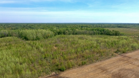 Income-Producing Farm for Sale in Hardeman County, TN - image 22