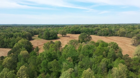 Income-Producing Farm for Sale in Hardeman County, TN - image 19