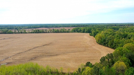 Income-Producing Farm for Sale in Hardeman County, TN - image 18