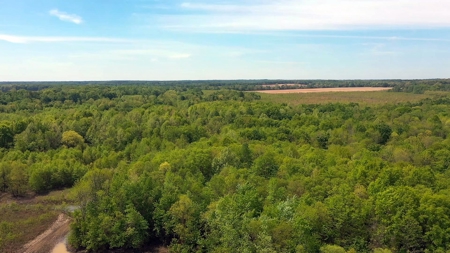 Income-Producing Farm for Sale in Hardeman County, TN - image 8