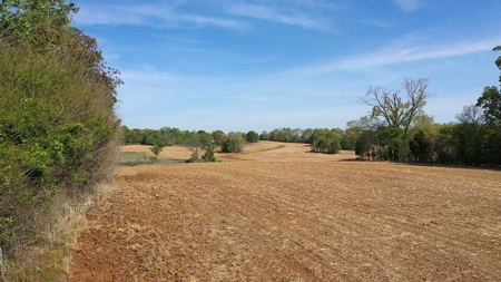 Income-Producing Farm for Sale in Hardeman County, TN - image 32