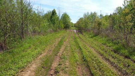 Income-Producing Farm for Sale in Hardeman County, TN - image 12