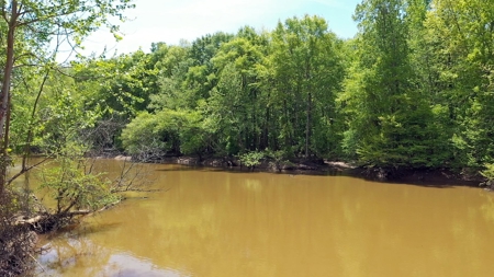 Income-Producing Farm for Sale in Hardeman County, TN - image 2