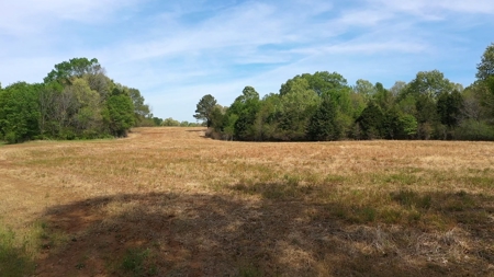 Income-Producing Farm for Sale in Hardeman County, TN - image 26