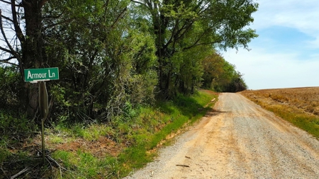 Income-Producing Farm for Sale in Hardeman County, TN - image 5