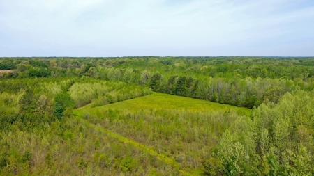 Income-Producing Farm for Sale in Hardeman County, TN - image 21