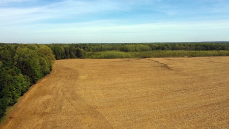 Income-Producing Farm for Sale in Hardeman County, TN - image 23