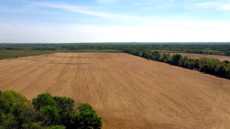 Income-Producing Farm for Sale in Hardeman County, TN - image 25