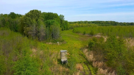 Income-Producing Farm for Sale in Hardeman County, TN - image 14