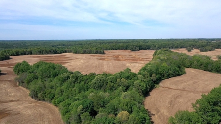 Income-Producing Farm for Sale in Hardeman County, TN - image 31
