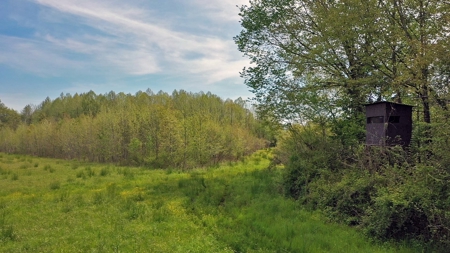 Income-Producing Farm for Sale in Hardeman County, TN - image 16