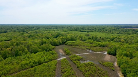 Income-Producing Farm for Sale in Hardeman County, TN - image 10
