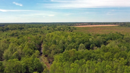 Income-Producing Farm for Sale in Hardeman County, TN - image 9