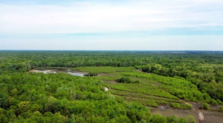 Income-Producing Farm for Sale in Hardeman County, TN - image 11