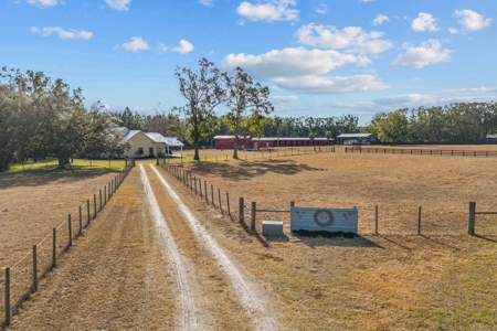 4Bed/2.5Bath On 10Acres Perfect Horse Enthusiasts! - image 18