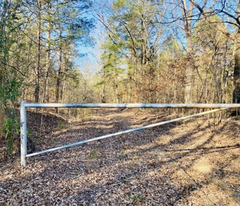 Arkansas Hunting Acreage Bordering National Forest For Sale - image 1