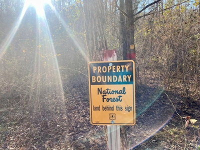 Arkansas Hunting Acreage Bordering National Forest For Sale - image 6