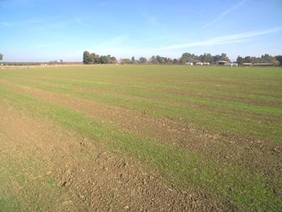 Davis, California Country Properties For Sale Near UC Davis - image 10